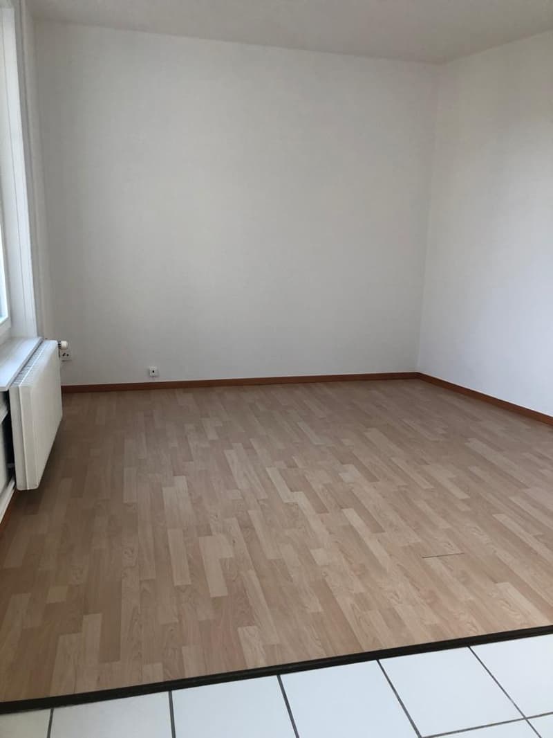1-Zimmerwohnung im Mattenhofquartier (5)