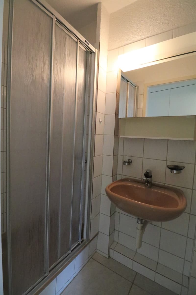 1-Zimmerwohnung im Mattenhofquartier (8)