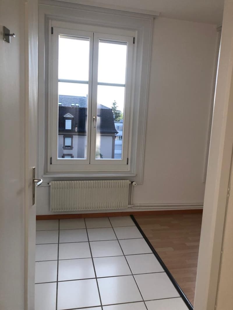 1-Zimmerwohnung im Mattenhofquartier (6)