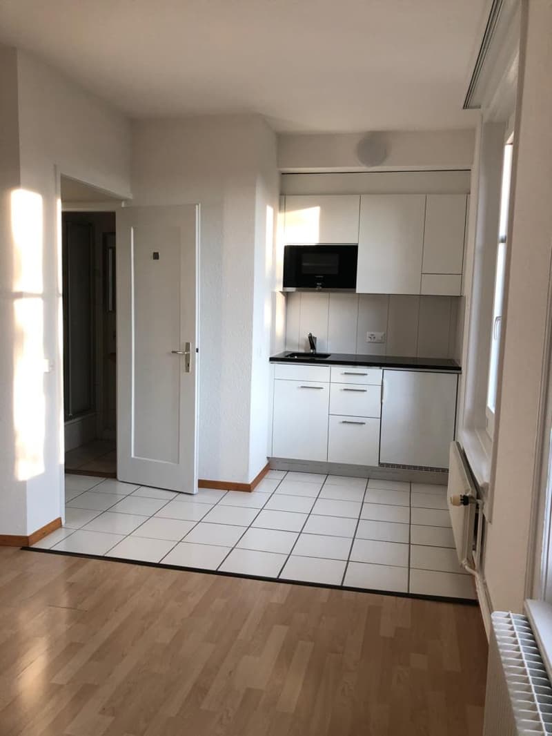 1-Zimmerwohnung im Mattenhofquartier (3)