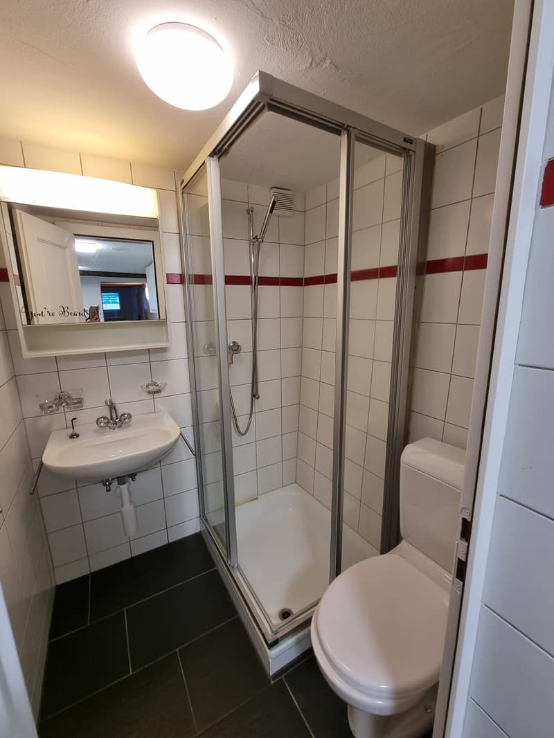 2-Zimmerwohnung in der Hofstettenstrasse (4)