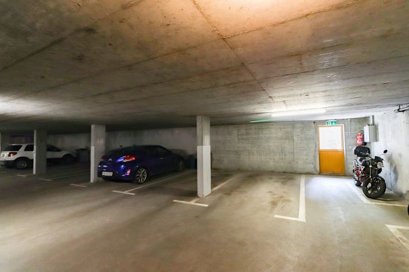 Frisch sanierte 4.5 -Zimmer-Wohnung mit Einstellhallenplatz, Bastelraum- und Kellerabteil (20)