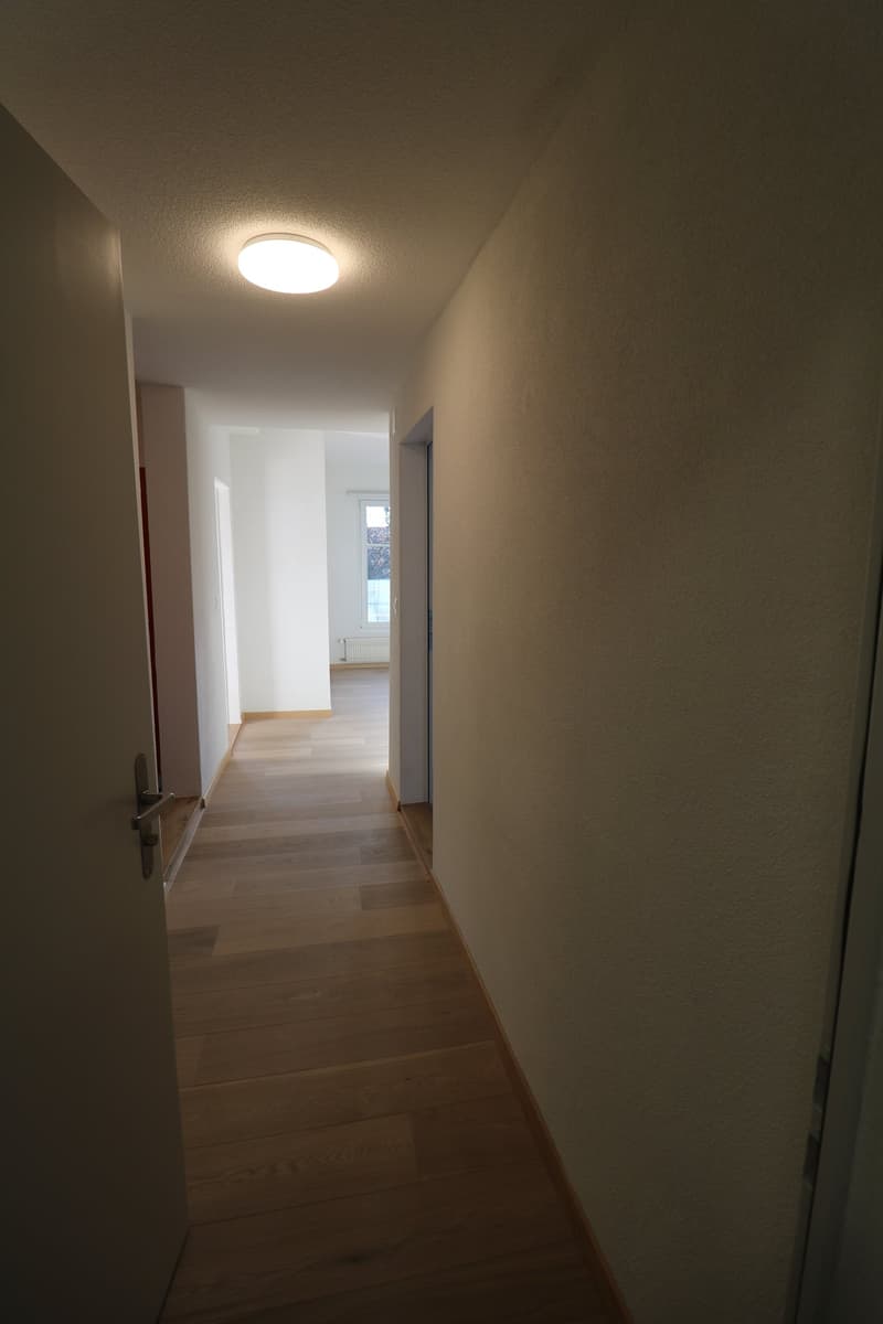 2-Zimmerwohnung in der Stadt Thun (8)