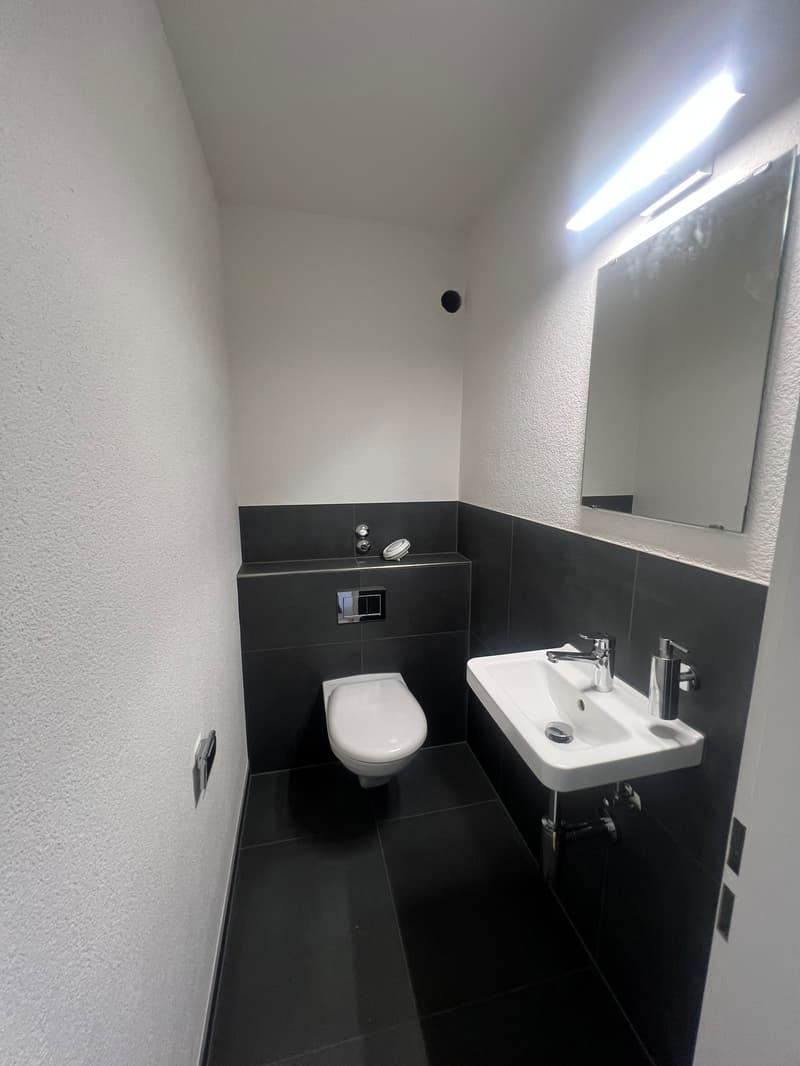 Total sanierte und charmante 3.5-Zimmerwohnung zu vermieten (4)