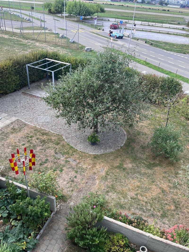 Charmante 5.5-Zimmer-Maisonette-Wohnung im Naherholungsgebiet Belpmoos (37)