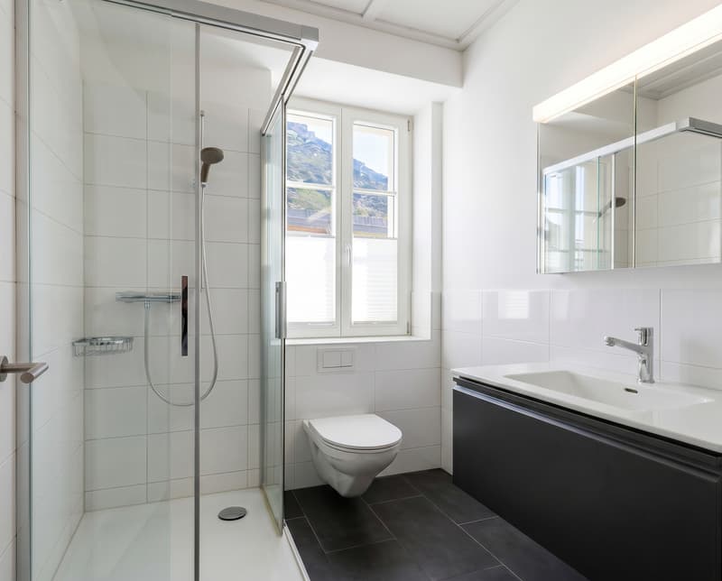 2.5 Zi. Wohnung mit Blick auf See und Insel (5)