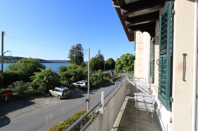 2.5 Zi. Wohnung mit Blick auf See und Insel (8)