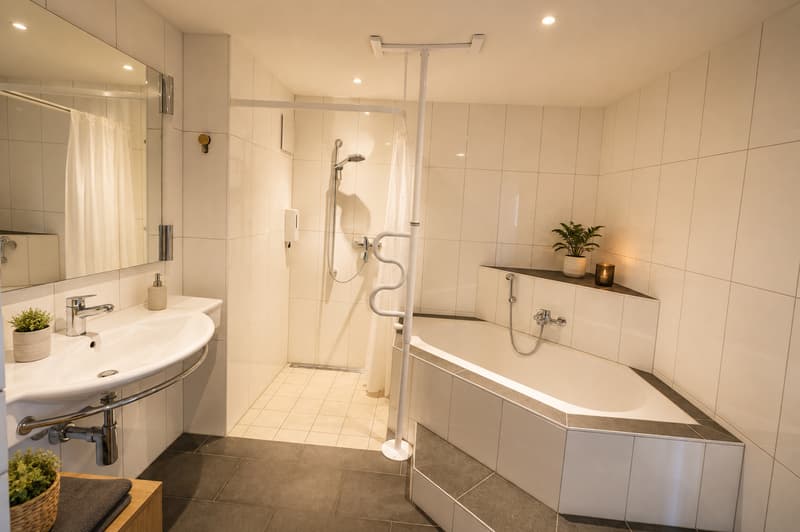 5 1/2 Zi. Duplex mit toller Dachterrasse (8)