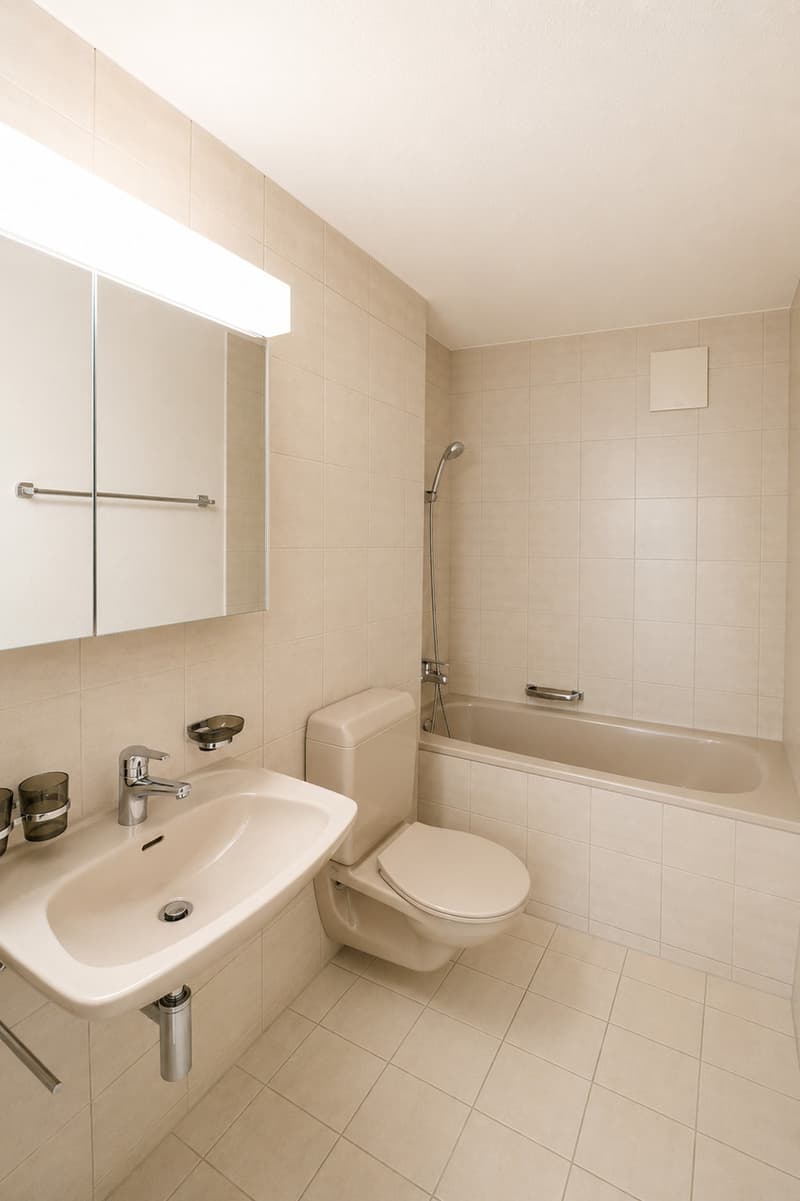 6,5 Zi. Duplex Wohnung mit viel Raum (6)
