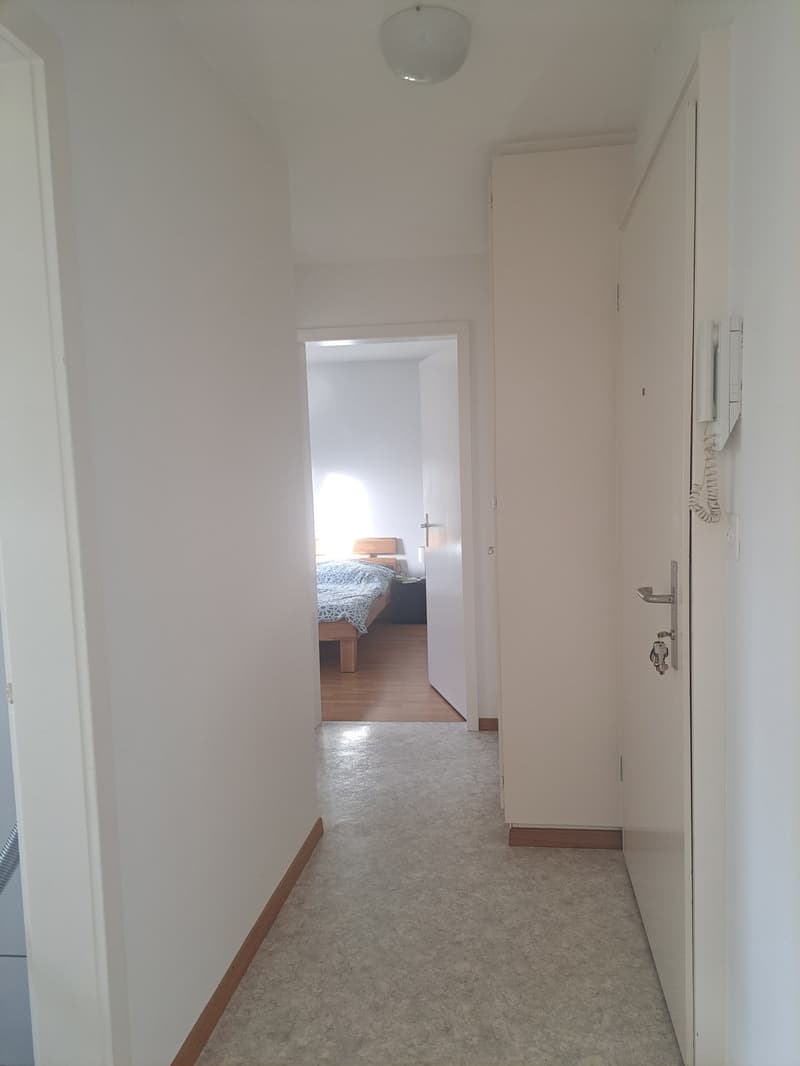 gemütliche 2-Zimmerwohnung (4)