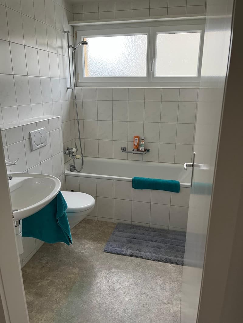gemütliche 2-Zimmerwohnung (6)