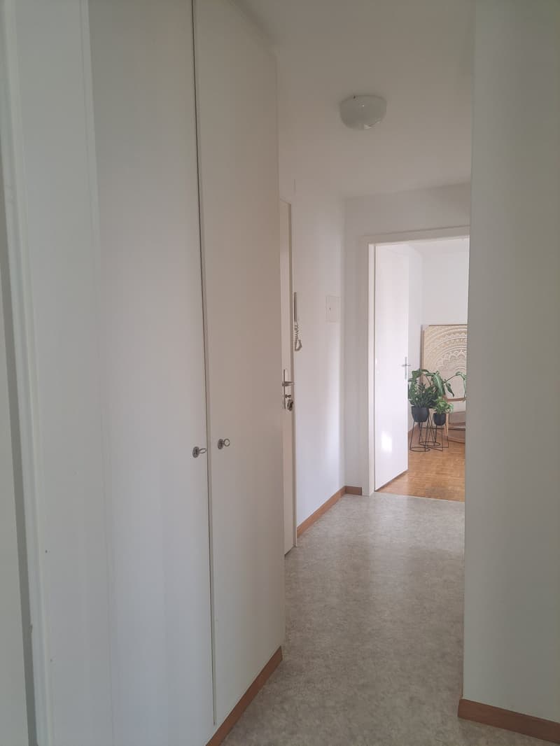 gemütliche 2-Zimmerwohnung (3)
