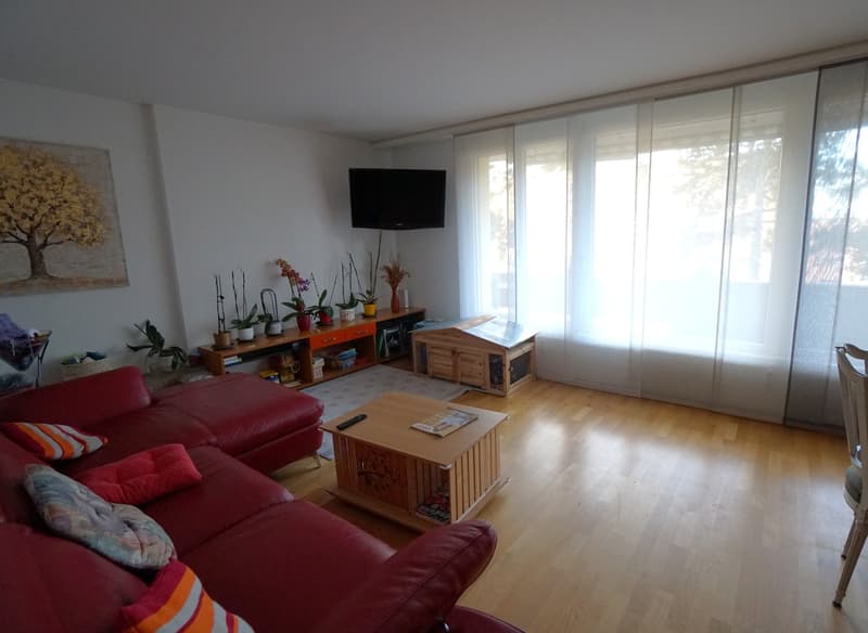 4.5-Zimmer-Gartenwohnung (4)