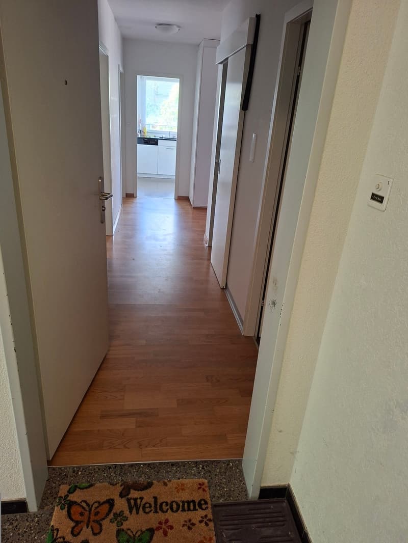 4.5-Zimmer-Gartenwohnung (10)