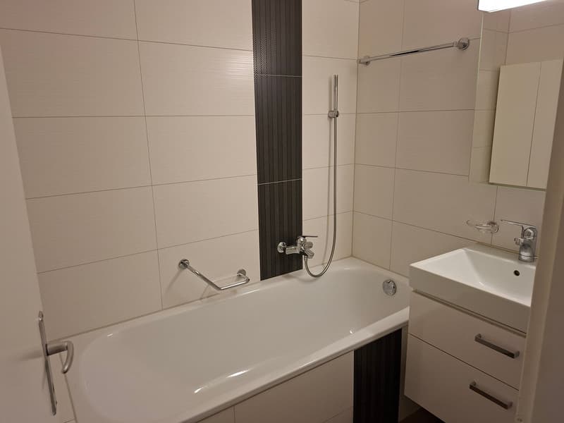 4.5-Zimmer-Gartenwohnung (3)