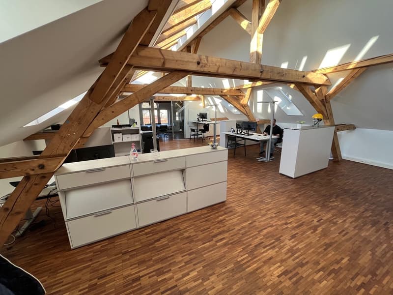 Moderne Büroräume an zentraler Lage (1)