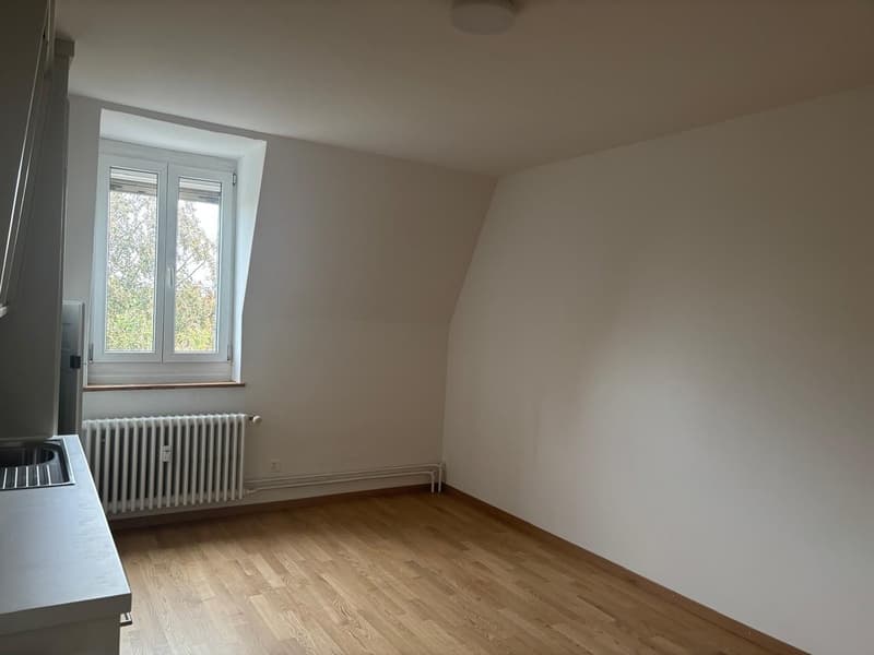 Charmante, neu renovierte 1-Zimmerwohnung im Breitenrain (2)