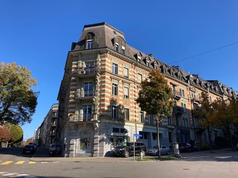 Charmante, neu renovierte 1-Zimmerwohnung im Breitenrain (4)