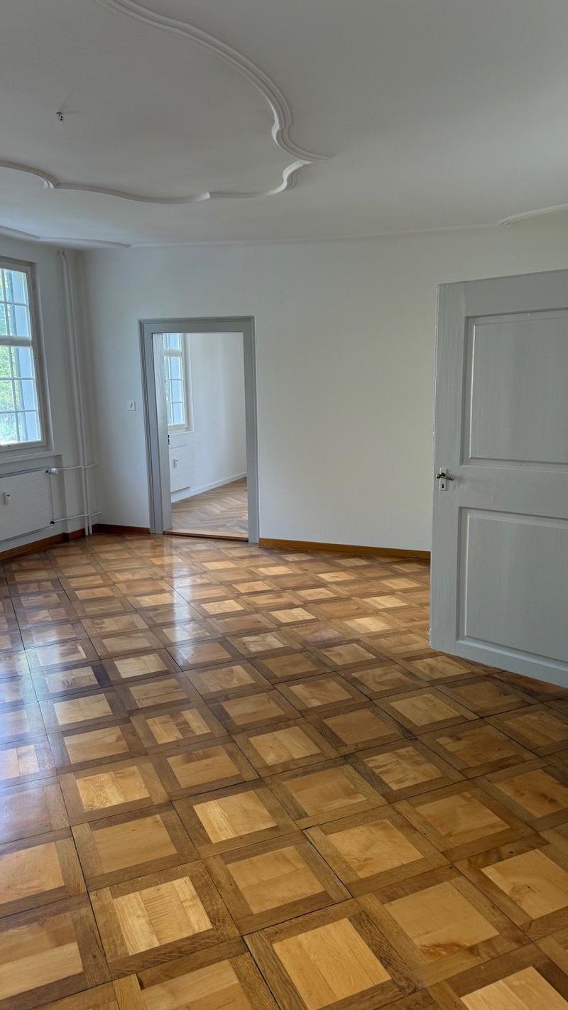 Historische 4 Zimmer-Wohnung in einem Barockhaus (7)