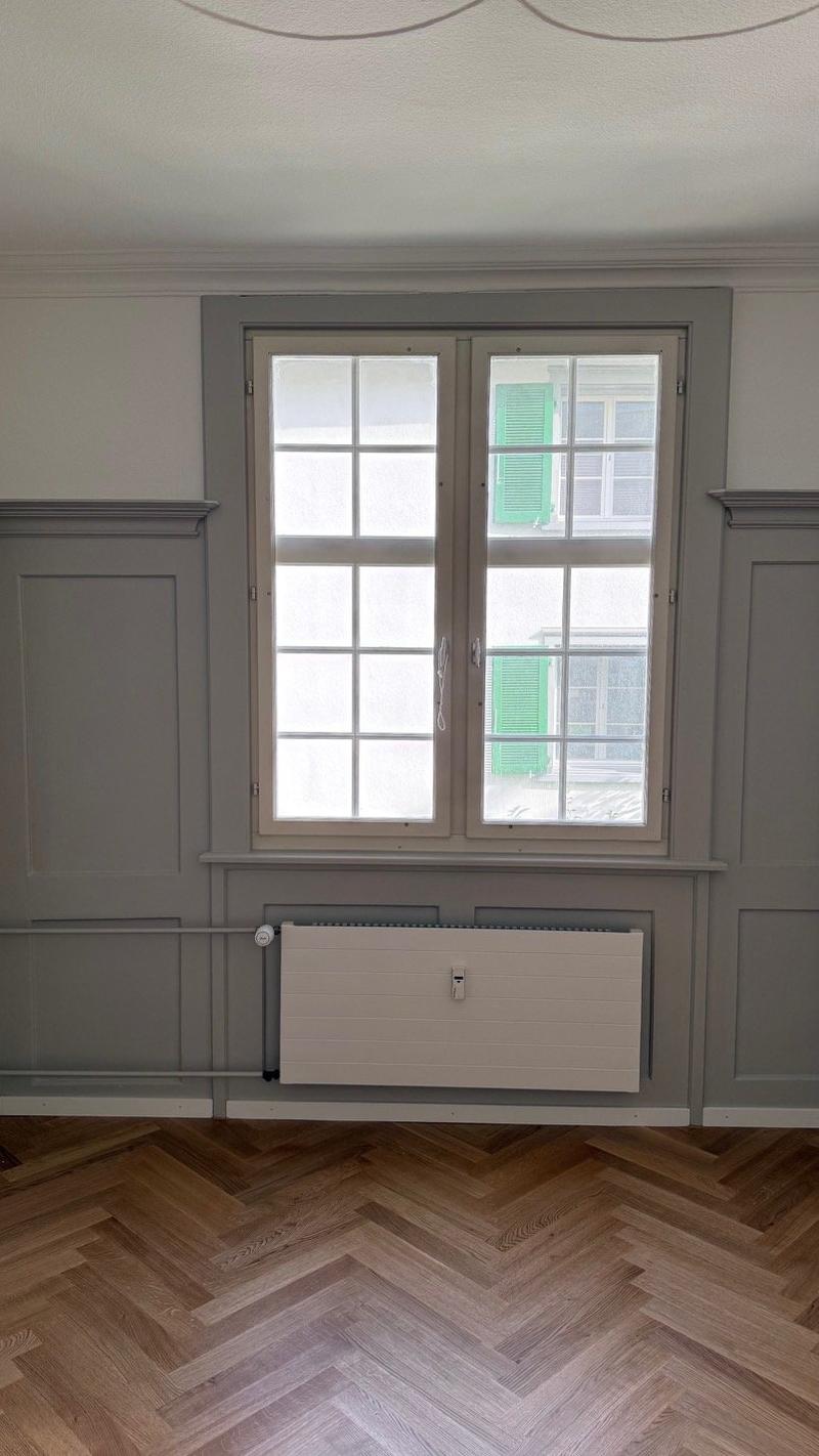 Historische 4 Zimmer-Wohnung in einem Barockhaus (10)