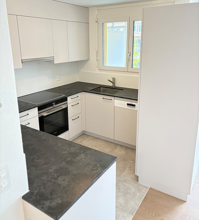 Zentral gelegene Wohnung  & zusätzlicher Garage zur Miete (3)