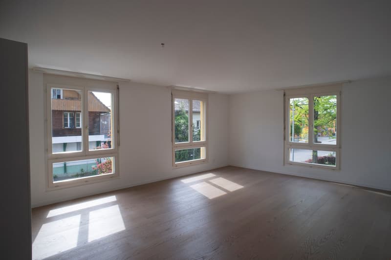 Wohn-/Esszimmer (Bild 1)
