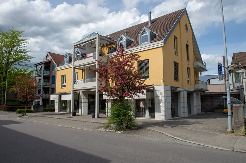 Zentral gelegene Wohnung  & zusätzlicher Garage zur Miete (9)