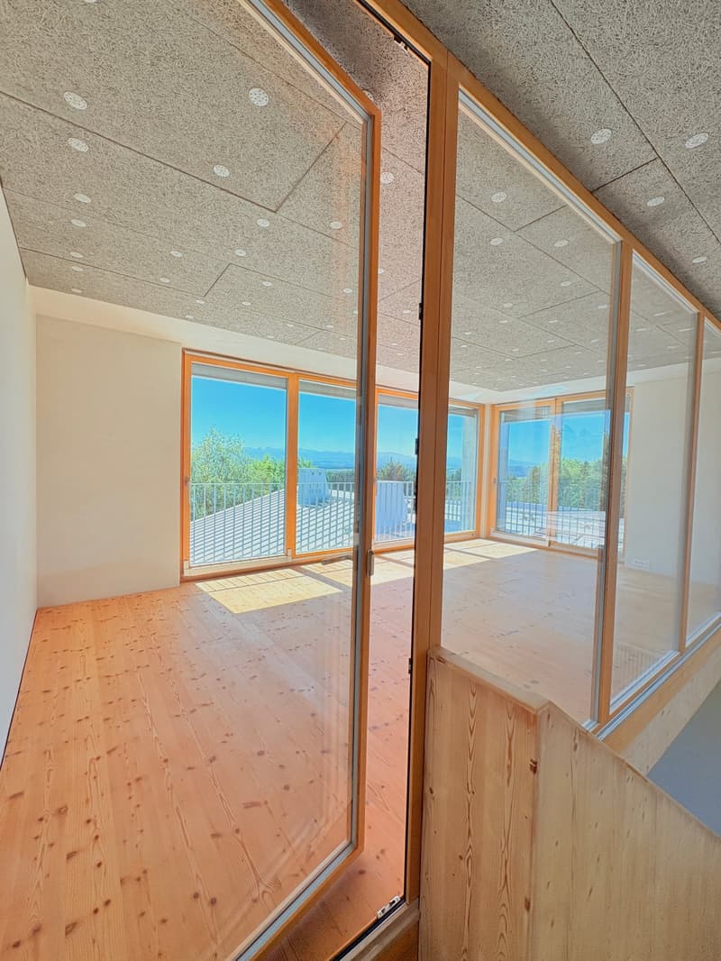 Einzigartiges Turm-Loft (190m2), alte Sagi nahe Bern (2)