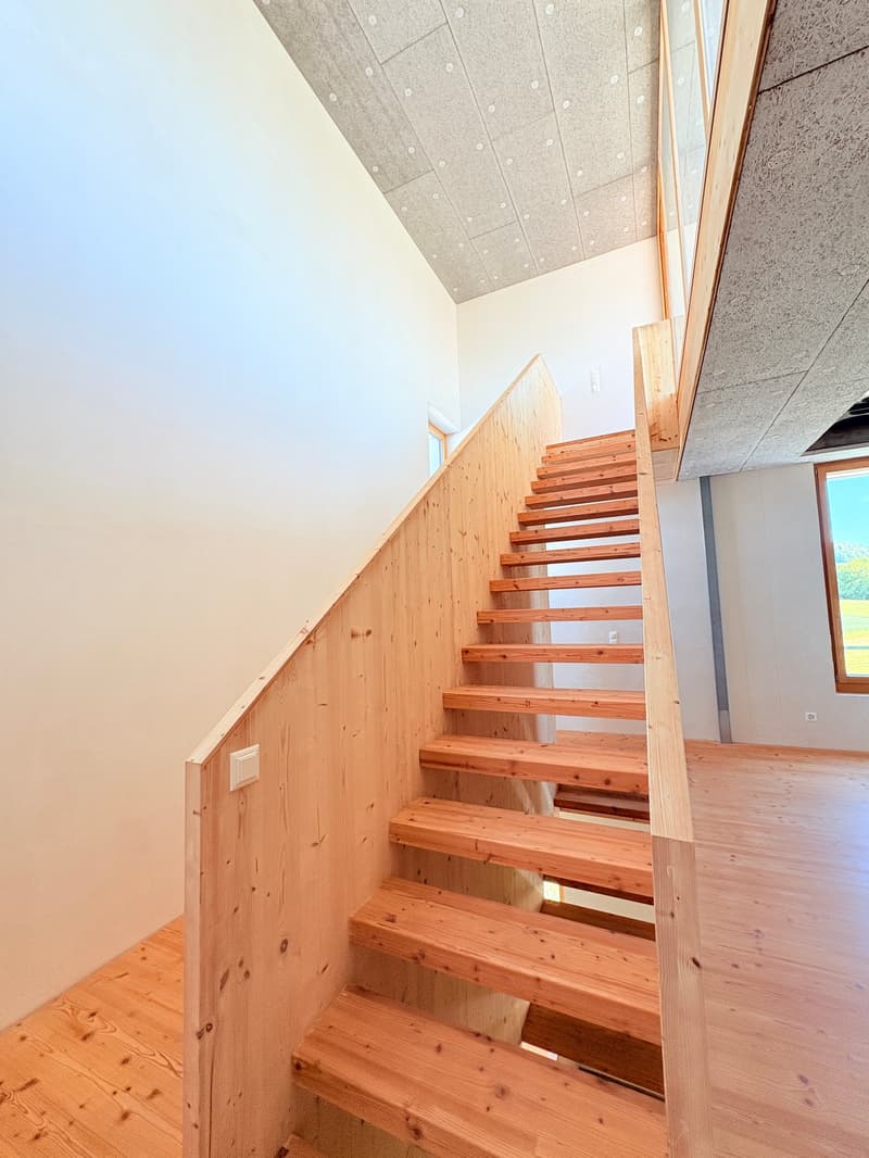 Einzigartiges Turm-Loft (190m2), alte Sagi nahe Bern (3)