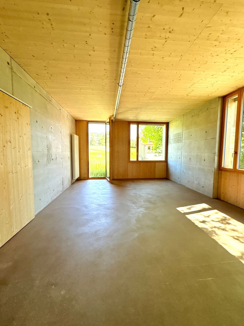 Echtes, originelles Eckloft (126m2) an erhöhter Lage nahe Bern (10)