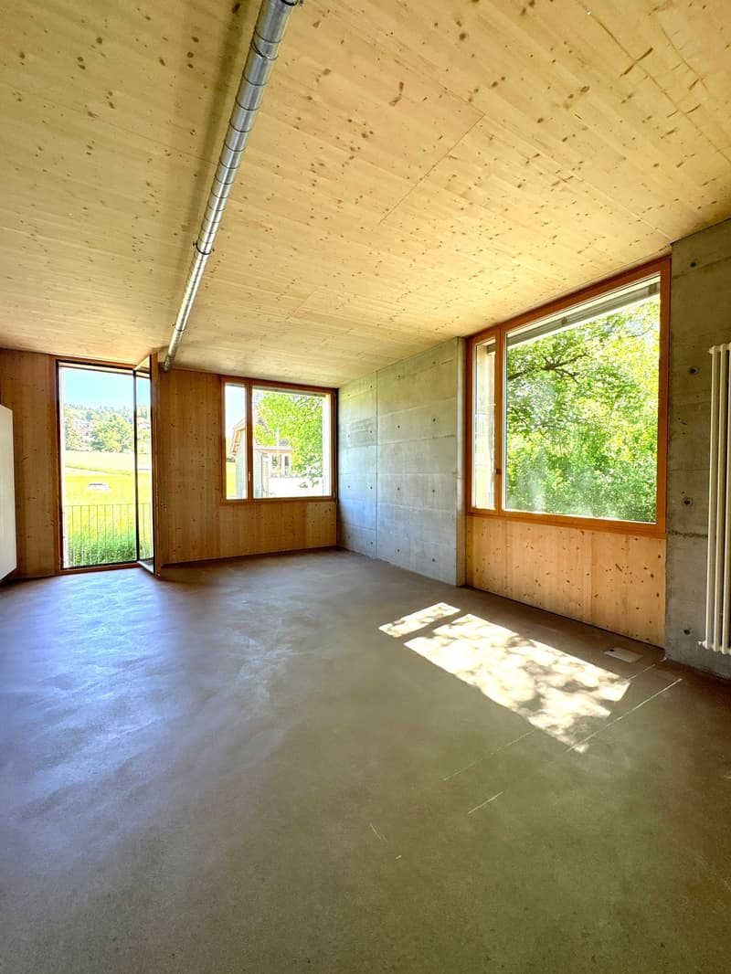 Echtes, originelles Eckloft (126m2) an erhöhter Lage nahe Bern (9)
