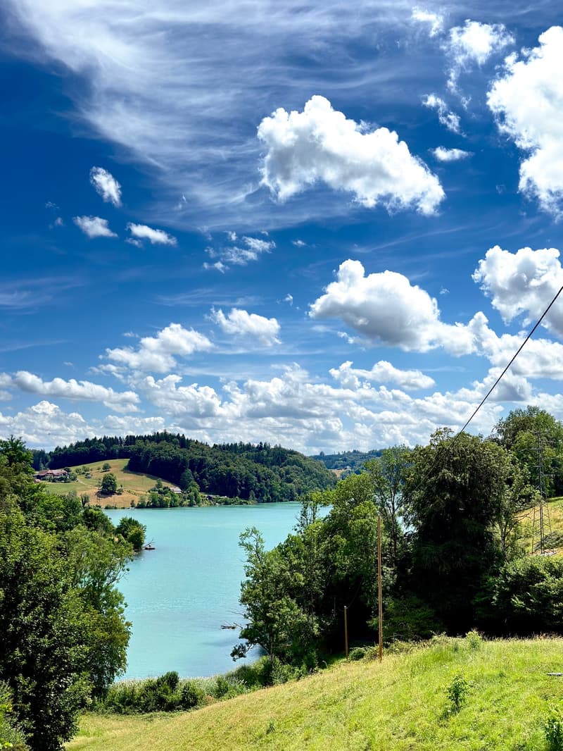 Echtes, originelles Eckloft (126m2) an erhöhter Lage nahe Bern (15)