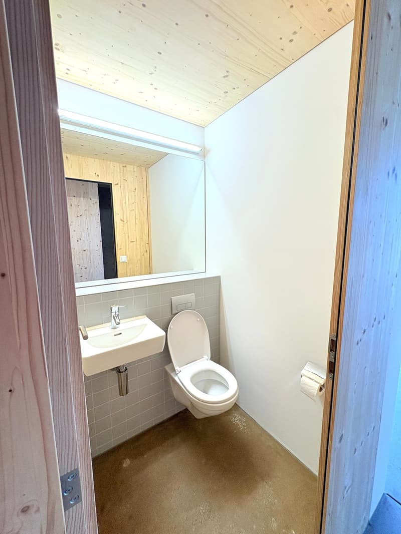 Echtes, originelles Eckloft (126m2) an erhöhter Lage nahe Bern (6)
