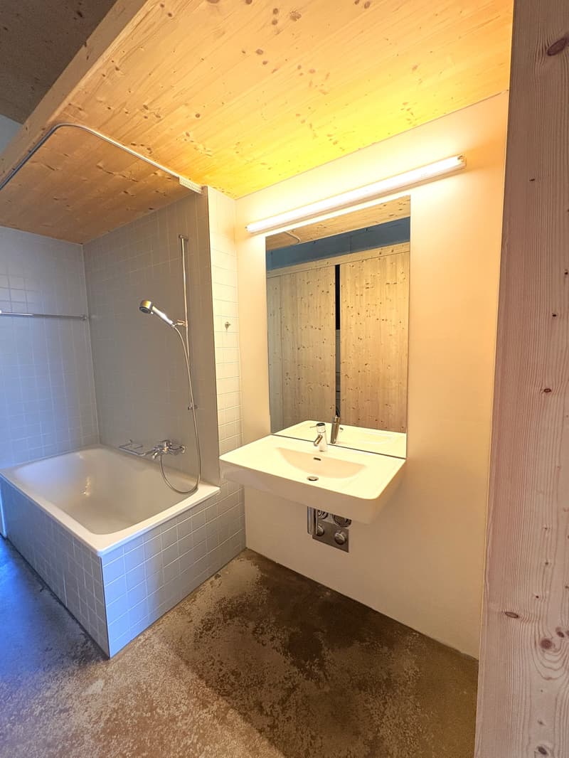 Echtes, originelles Eckloft (126m2) an erhöhter Lage nahe Bern (7)