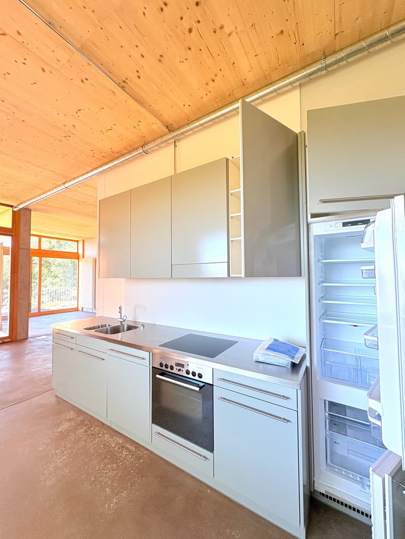 Echtes, originelles Eckloft (126m2) an erhöhter Lage nahe Bern (3)