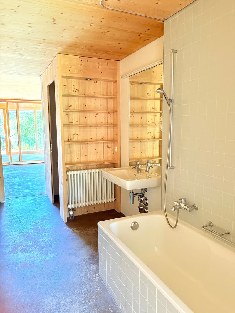 Echtes, originelles Eckloft (126m2) an erhöhter Lage nahe Bern (8)