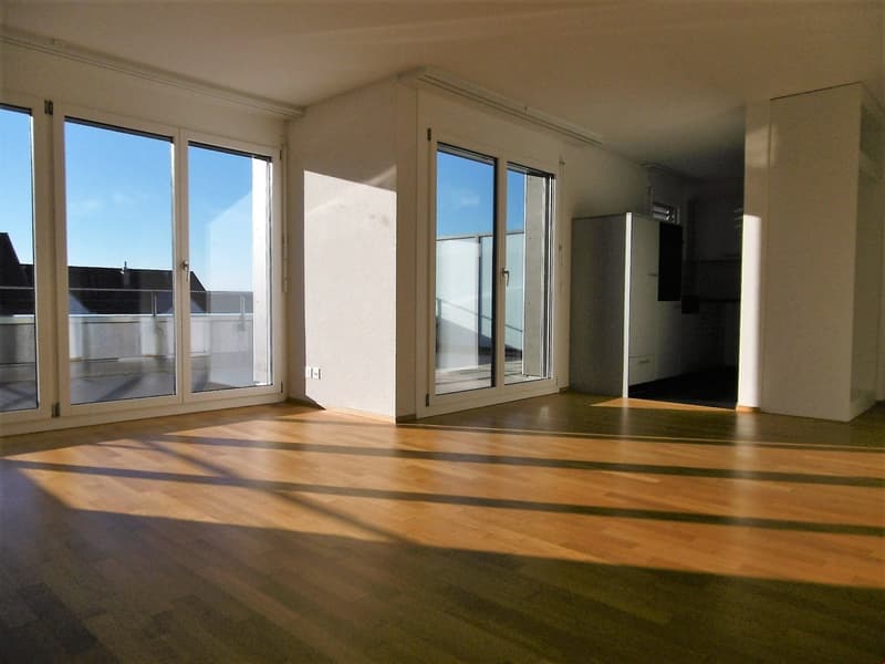 2.5-Attika-Wohnung mit Sonnenuntergang (6)
