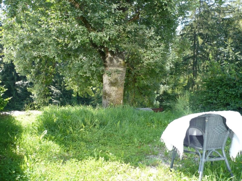 Einzigartiges Niedrigenergie-Solarhaus in Innerberg nahe Bern (14)