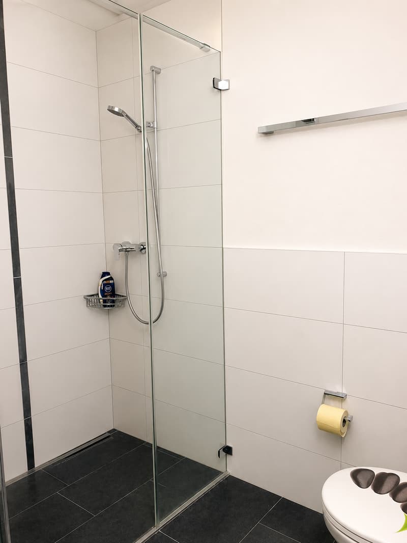 Schöne 4 1/2 Zimmer Wohnung zu vermieten (6)