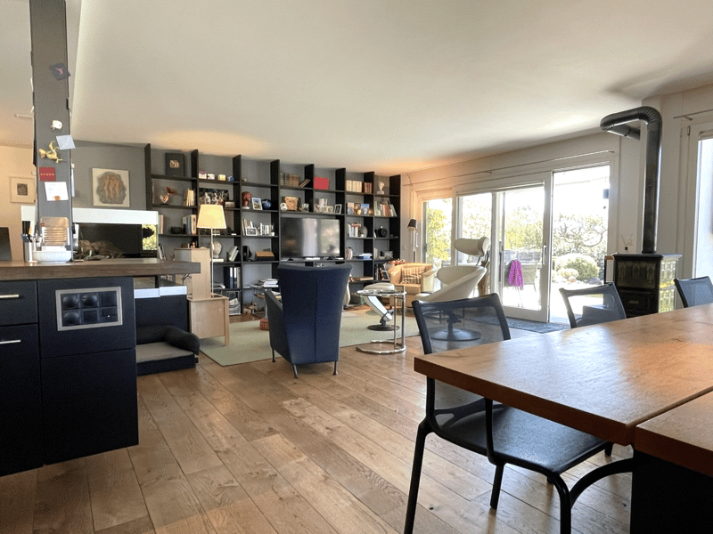 Open living room with wooden floor, large windows, dining table, chairs, shelves, TV, lamp, rug, and modern furniture