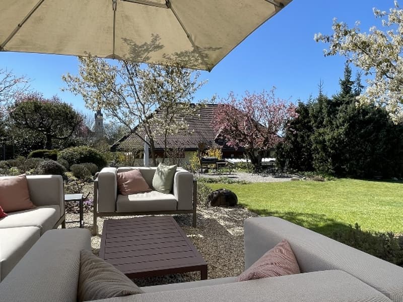 Outdoor seating area with couches, coffee table, and umbrella, surrounded by trees and grass, with a house in the background.