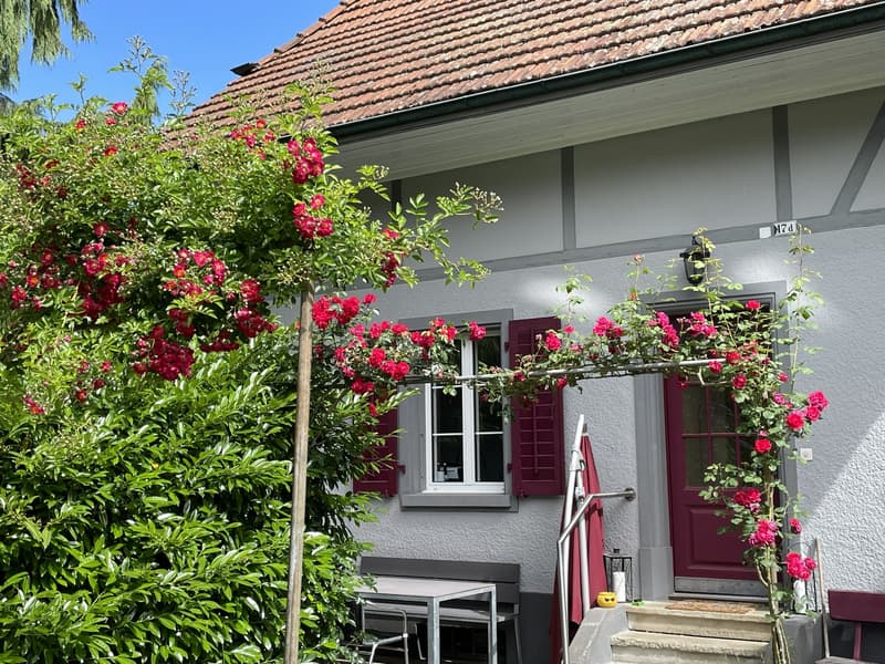 An ruhiger Lage: 6.5 Zi-Einfamilienhaus mit Landreserve und grosser, romantischer Gartenanlage (14)