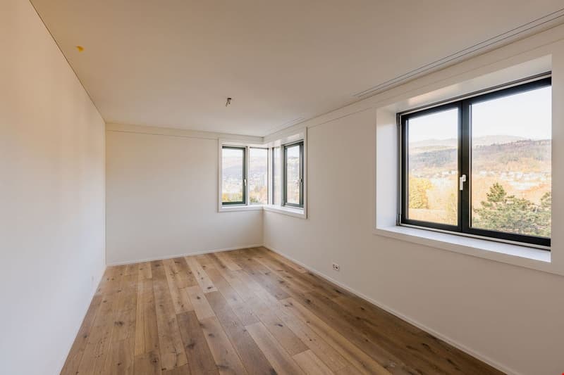 empty room, wooden floors, white walls, two large windows, wall outlet