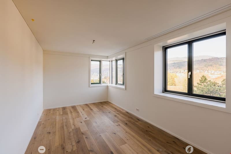 empty room, wooden floor, white walls, two windows, outside view