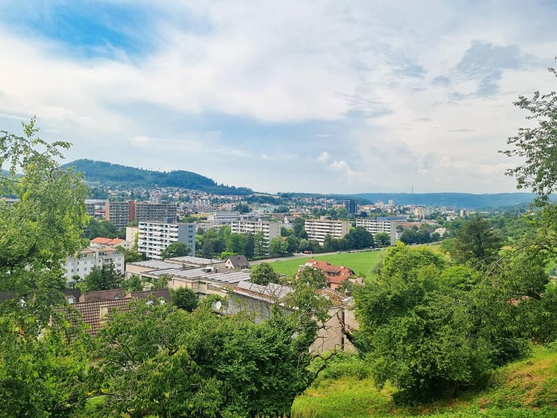 8093035, 4410 Liestal