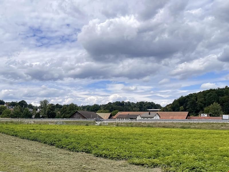 MELLINGEN - SCHÖNE VILLA - 7.0 ZIMMER | homegate.ch