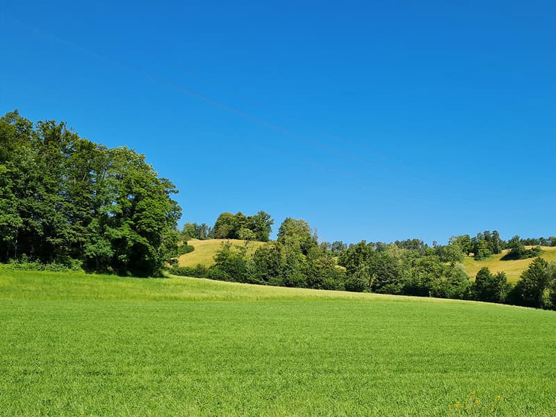 5000 Aarau