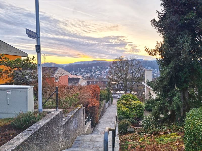 BINNINGEN - HERRLICHES HAUS - 7.5 ZIMMER | homegate.ch