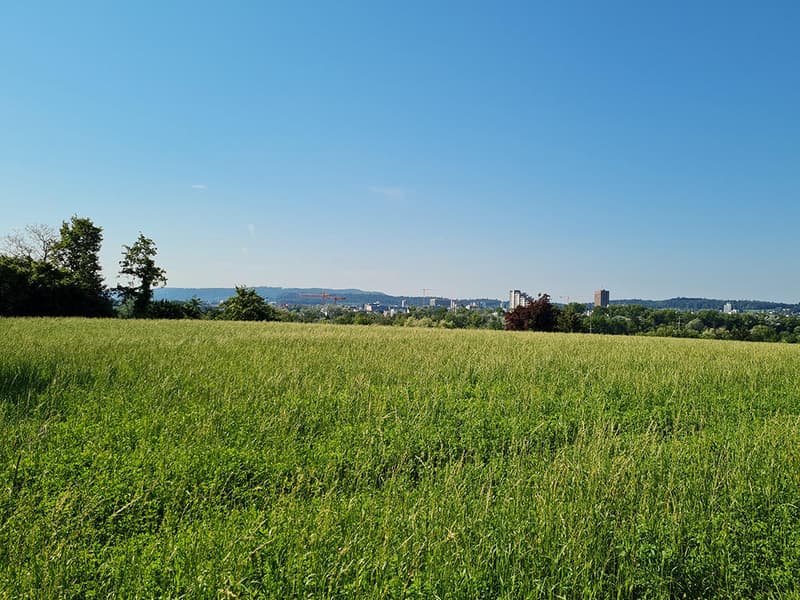 AARAU NORD - SCHÖNE WOHNUNG MIT HERRLICHER AUSSICHT UND GROSSER TERRASSE (1)