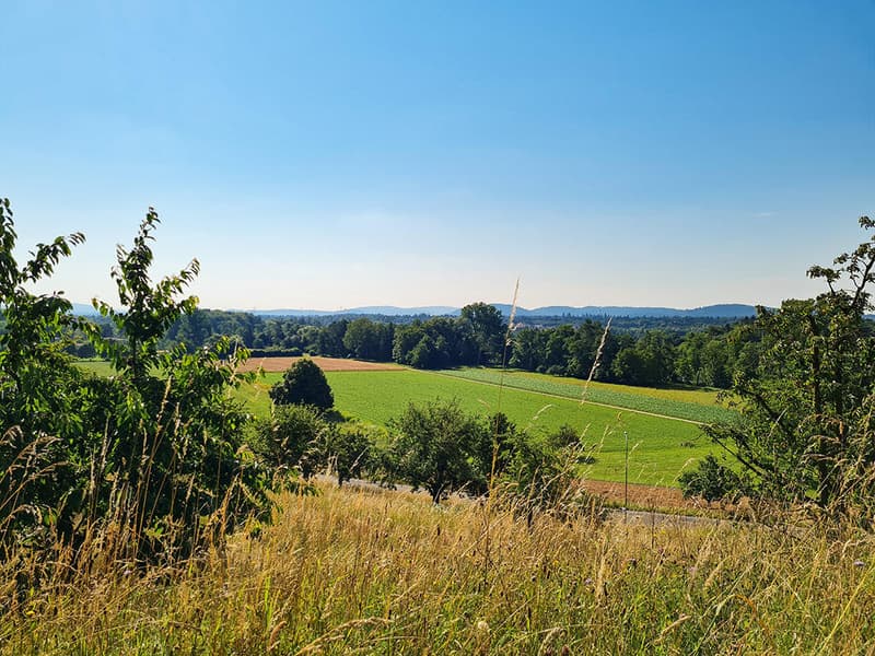 AARAU NORD - SCHÖNE WOHNUNG MIT HERRLICHER AUSSICHT UND GROSSER TERRASSE (3)